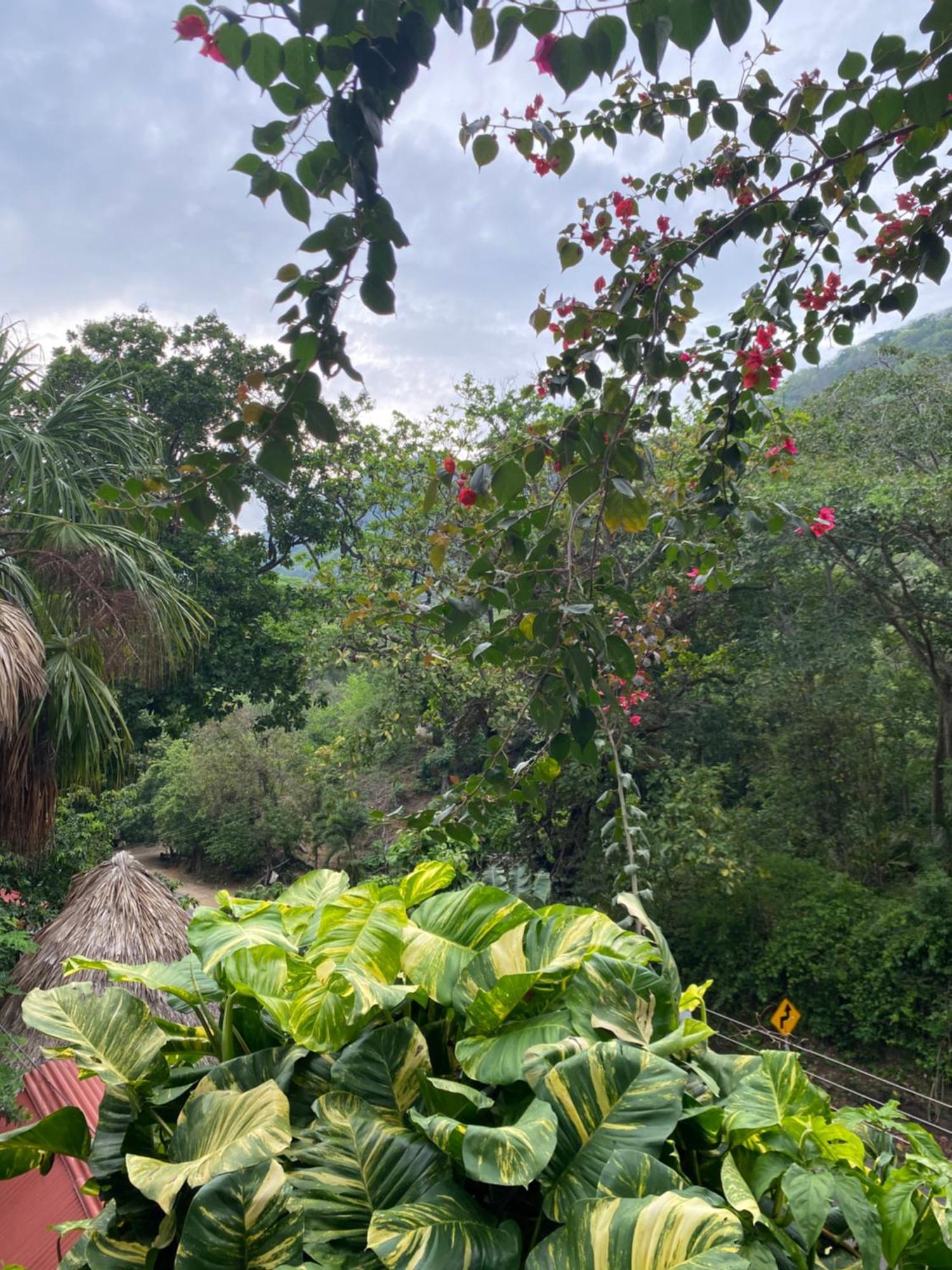 Eco Hostal La Perla Tayrona Эль-Саино Экстерьер фото