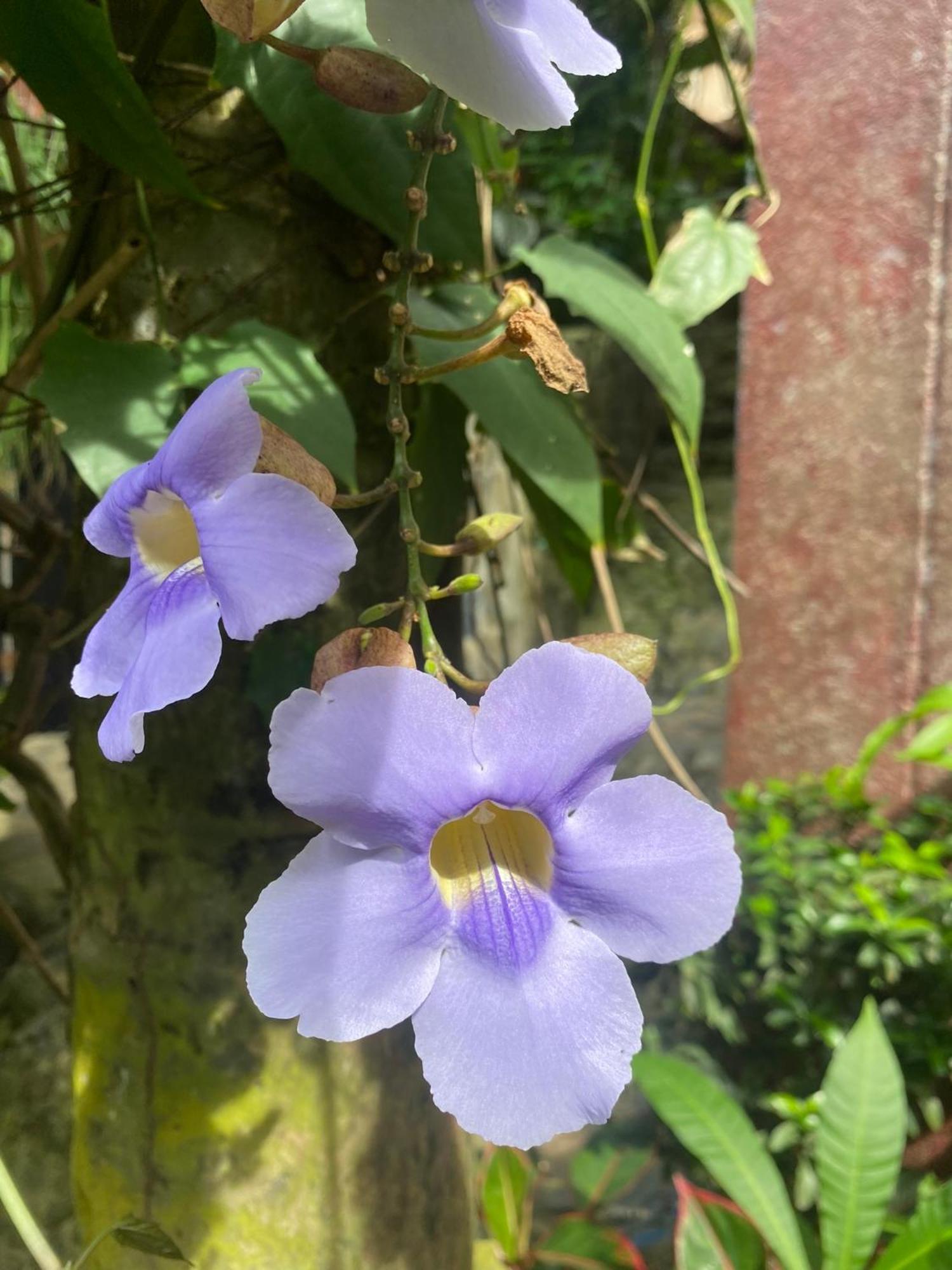 Eco Hostal La Perla Tayrona Эль-Саино Экстерьер фото